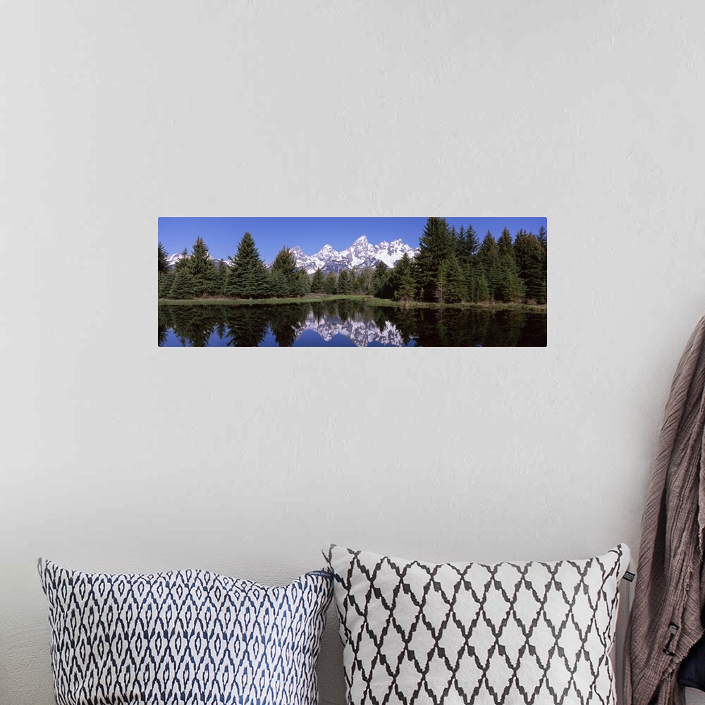 A bohemian room featuring Reflection of mountains and trees in a lake, Schwabachers Landing, Grand Teton National Park, Wyo...