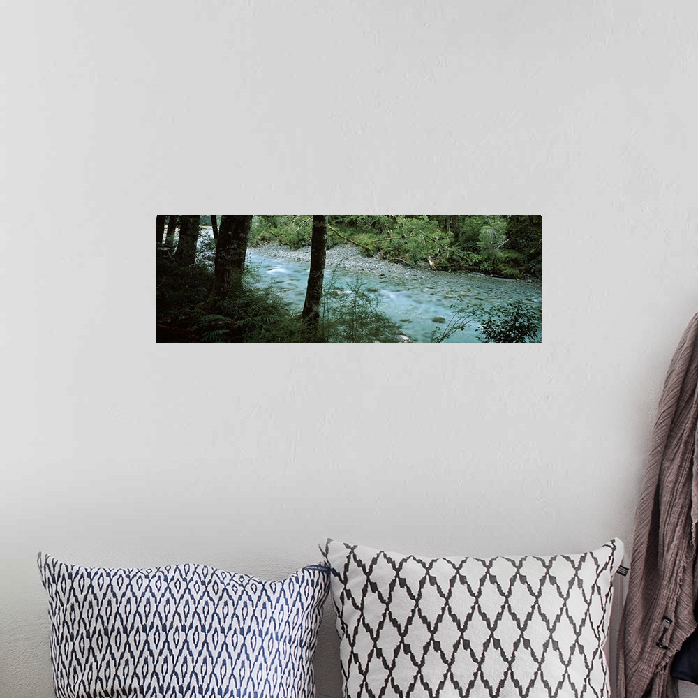 A bohemian room featuring River flowing through a forest, Routeburn River, Mt Aspiring National Park, South Island, New Zea...