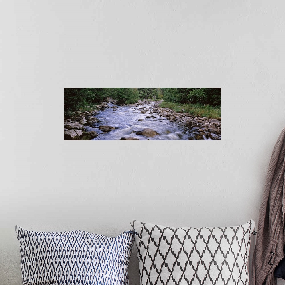 A bohemian room featuring A river flows over rocks with thick brush and foliage lining both sides of the water.