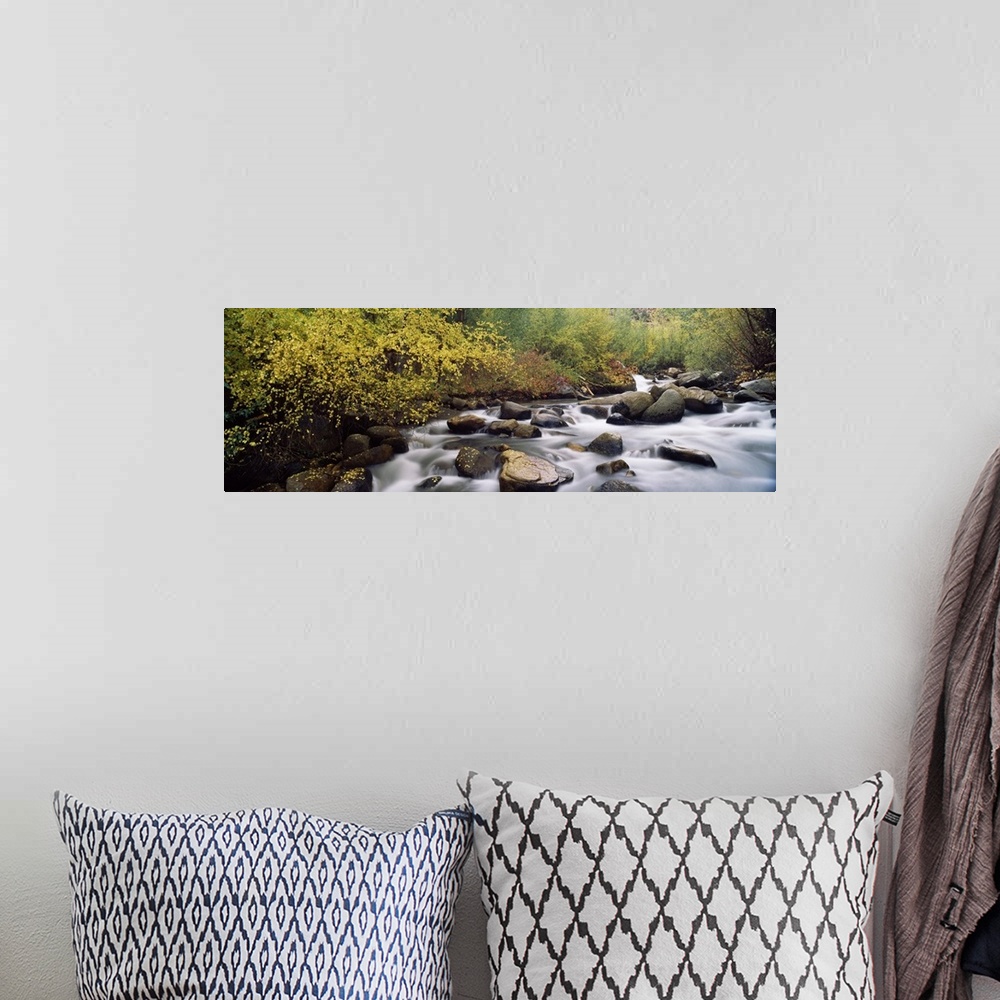 A bohemian room featuring River passing through a forest, Inyo County, California,