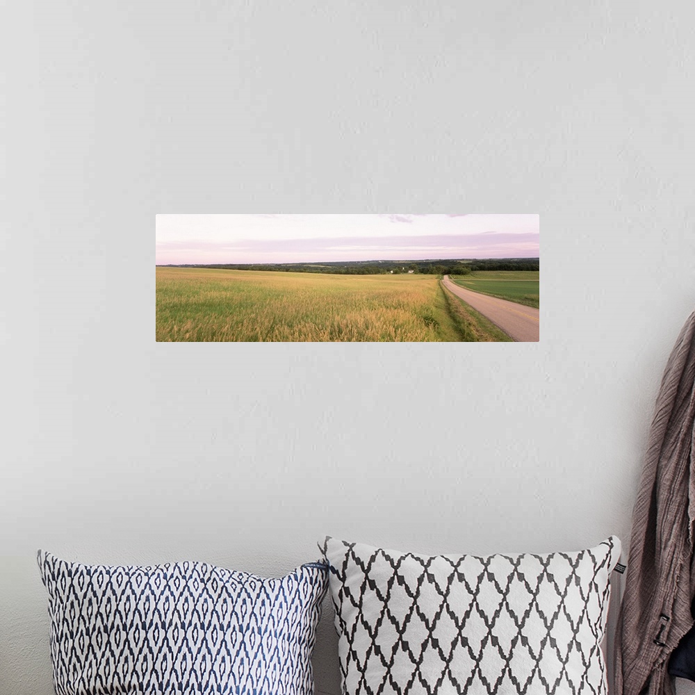 A bohemian room featuring Road along a farmland, Midwest