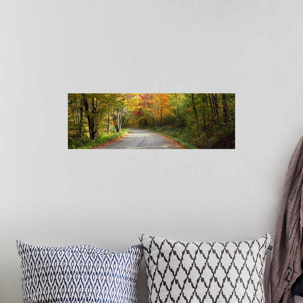 A bohemian room featuring Road passing through a forest, Lamoille County, Vermont,
