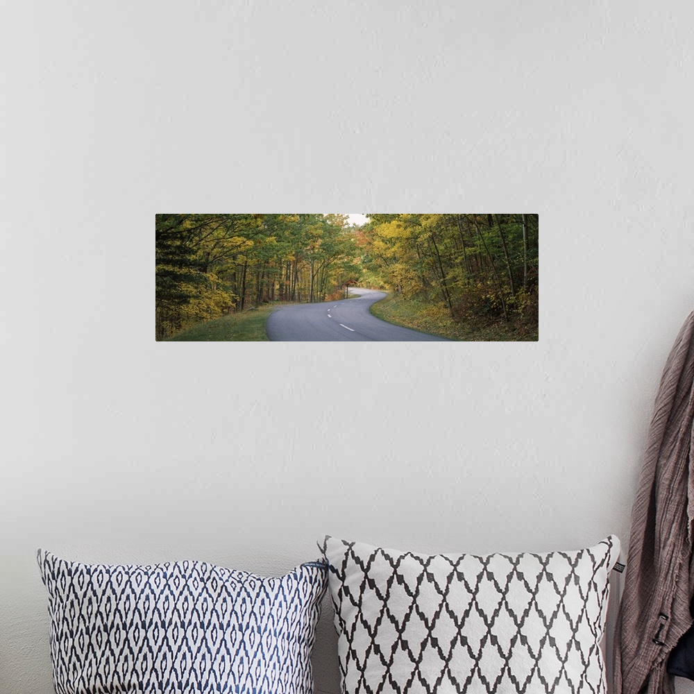 A bohemian room featuring Road passing through a forest, Park Loop Road, Acadia National Park, Hancock County, Maine