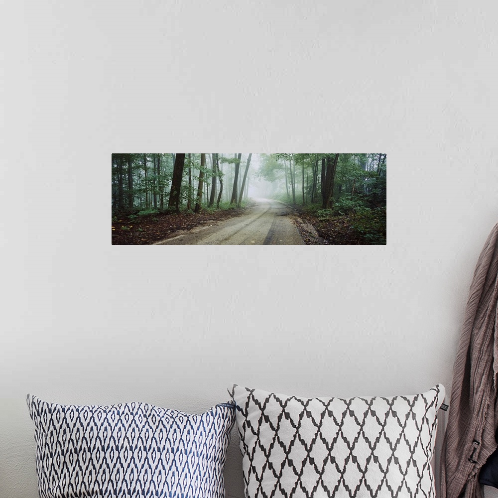 A bohemian room featuring Road passing through a forest, Skyline Drive, Jackson-Washington State Forest, Indiana