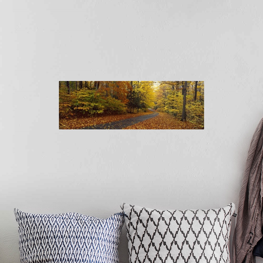 A bohemian room featuring Panoramic photograph on a large canvas of a winding path leading through a forest of fall foliage...
