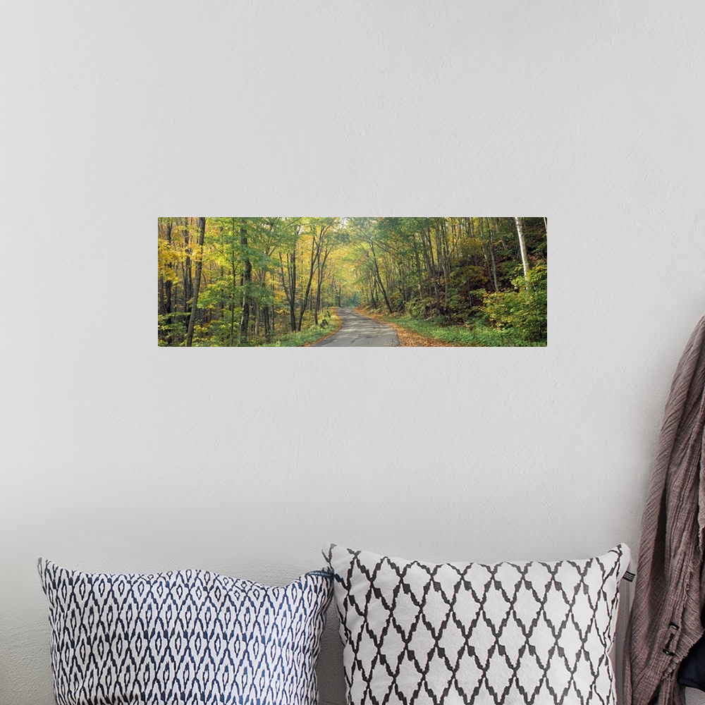 A bohemian room featuring Wide angle photograph on a big canvas of a Golf Link Road leading into a dense forest of fall fol...