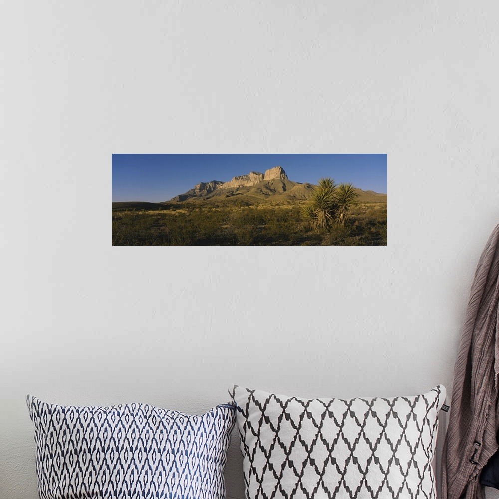 A bohemian room featuring Rock formations on a landscape, Guadalupe Mountains National Park, Texas