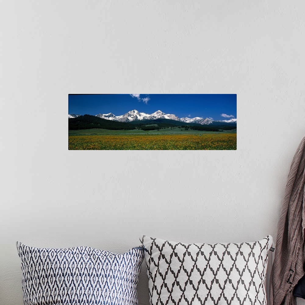 A bohemian room featuring Panoramic image of a field of wildflowers blooming in front of the Sawtooth Mountains in Stanley,...
