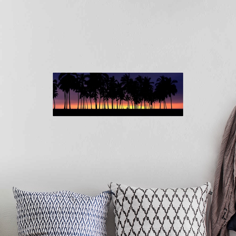 A bohemian room featuring Silhouette of palm trees on the beach, Big Island, Hawaii II