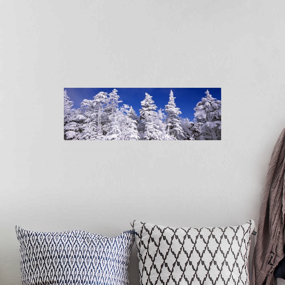 A bohemian room featuring Wide angle photograph on a large wall hanging of tall snow covered pine trees against a deep blue...
