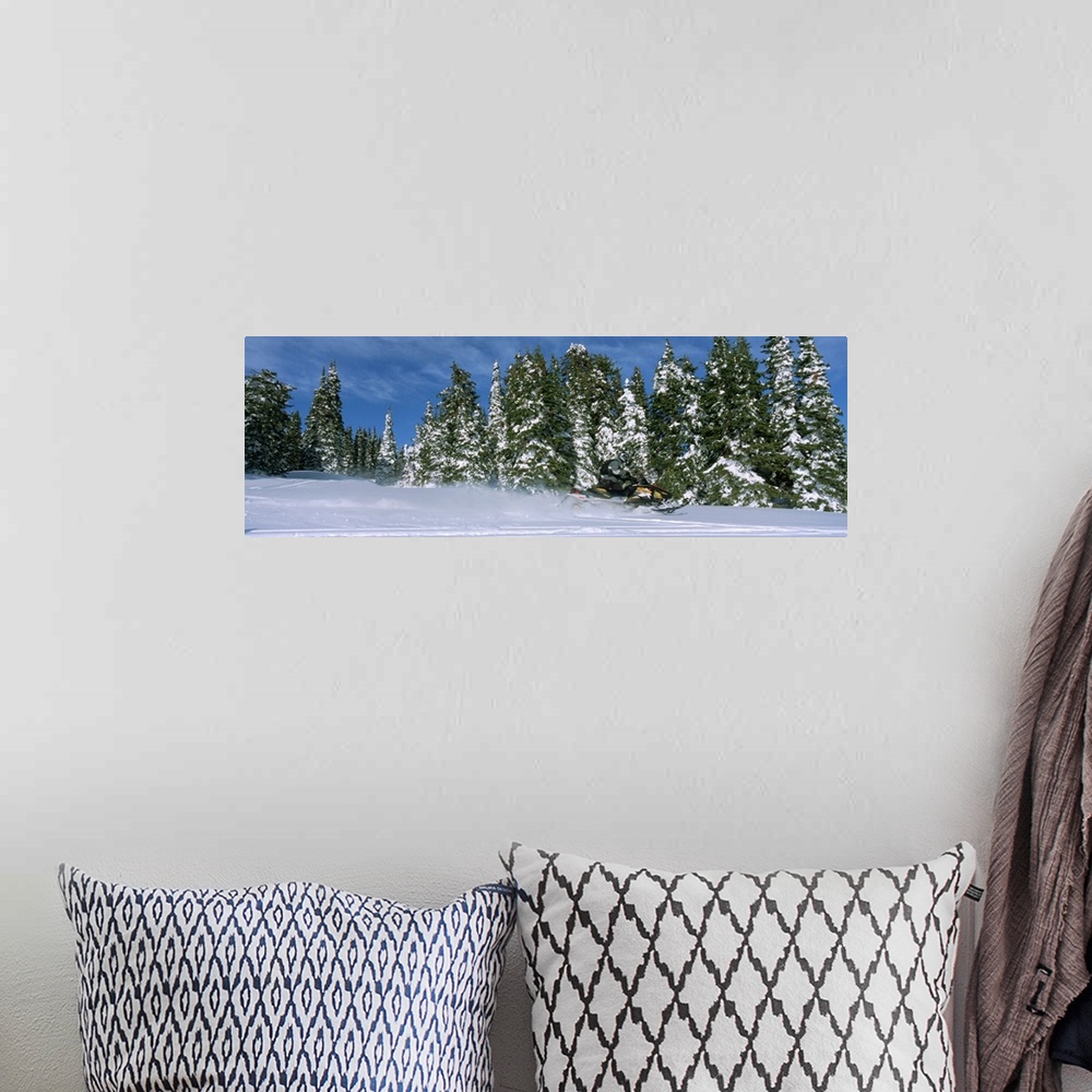 A bohemian room featuring Snowmobiling in Yellowstone National Forest CA