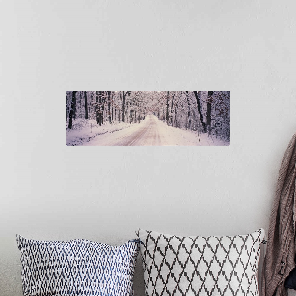 A bohemian room featuring This panoramic photograph shows a road way through a snowy forest on a winter day.