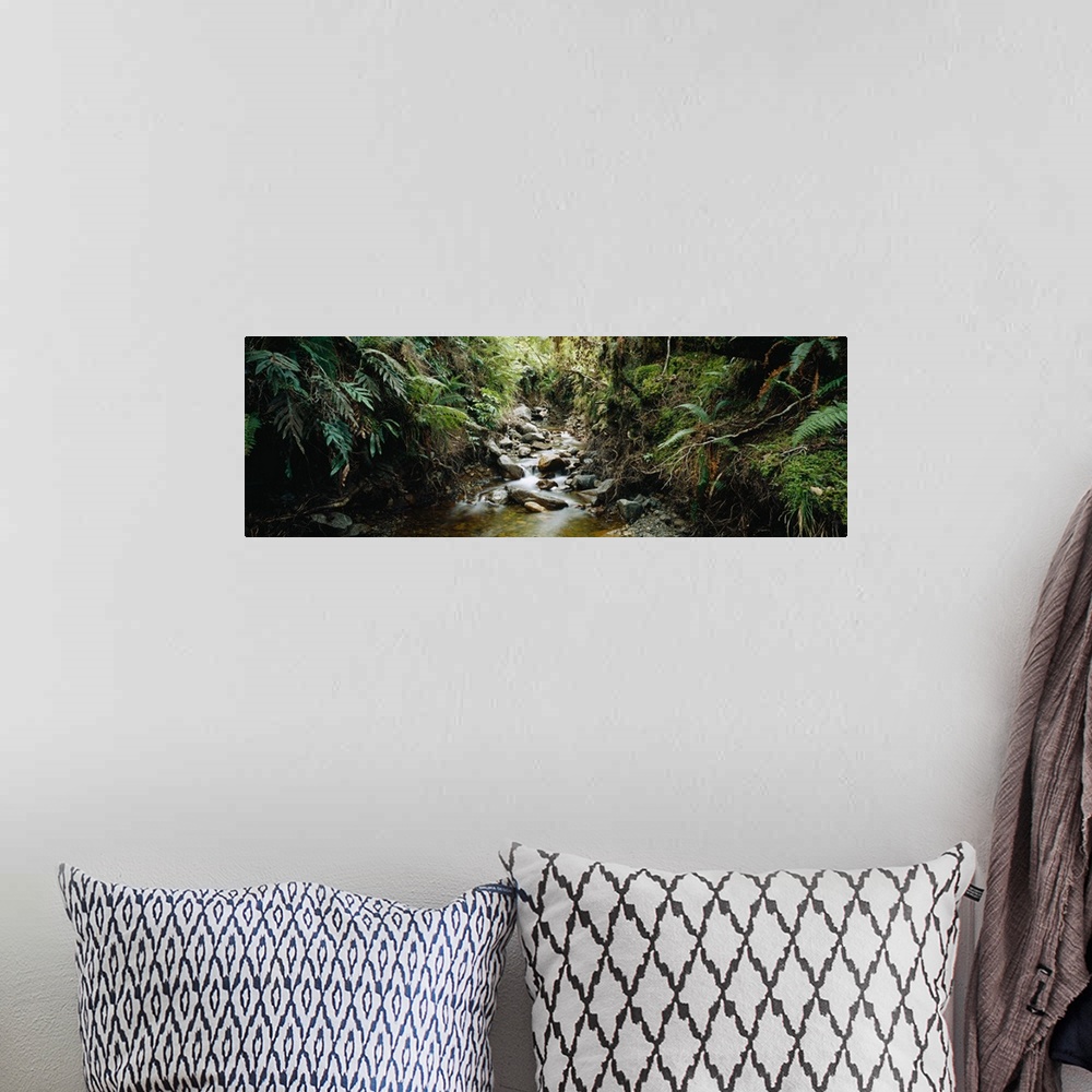 A bohemian room featuring Stream flowing in a forest, Milford Sound, Fiordland National Park, South Island, New Zealand