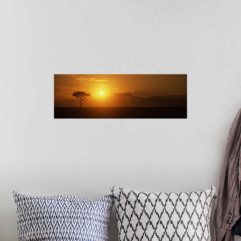 A bohemian room featuring Sunrise over a landscape, Masai Mara National Reserve, Kenya