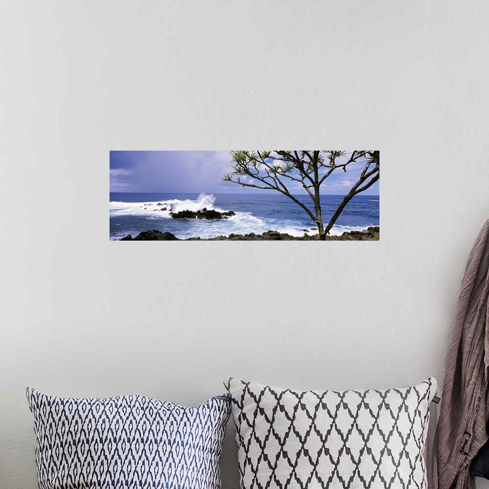A bohemian room featuring Panoramic photograph of rocky shoreline with breaking waves and one tall tree under a cloudy sky.
