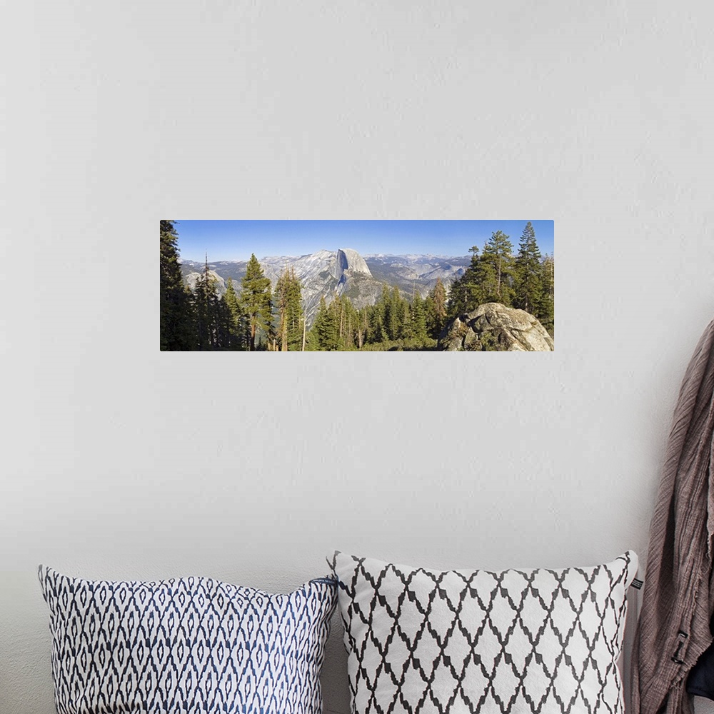 A bohemian room featuring Trees in a forest, Half Dome, Yosemite National Park, California