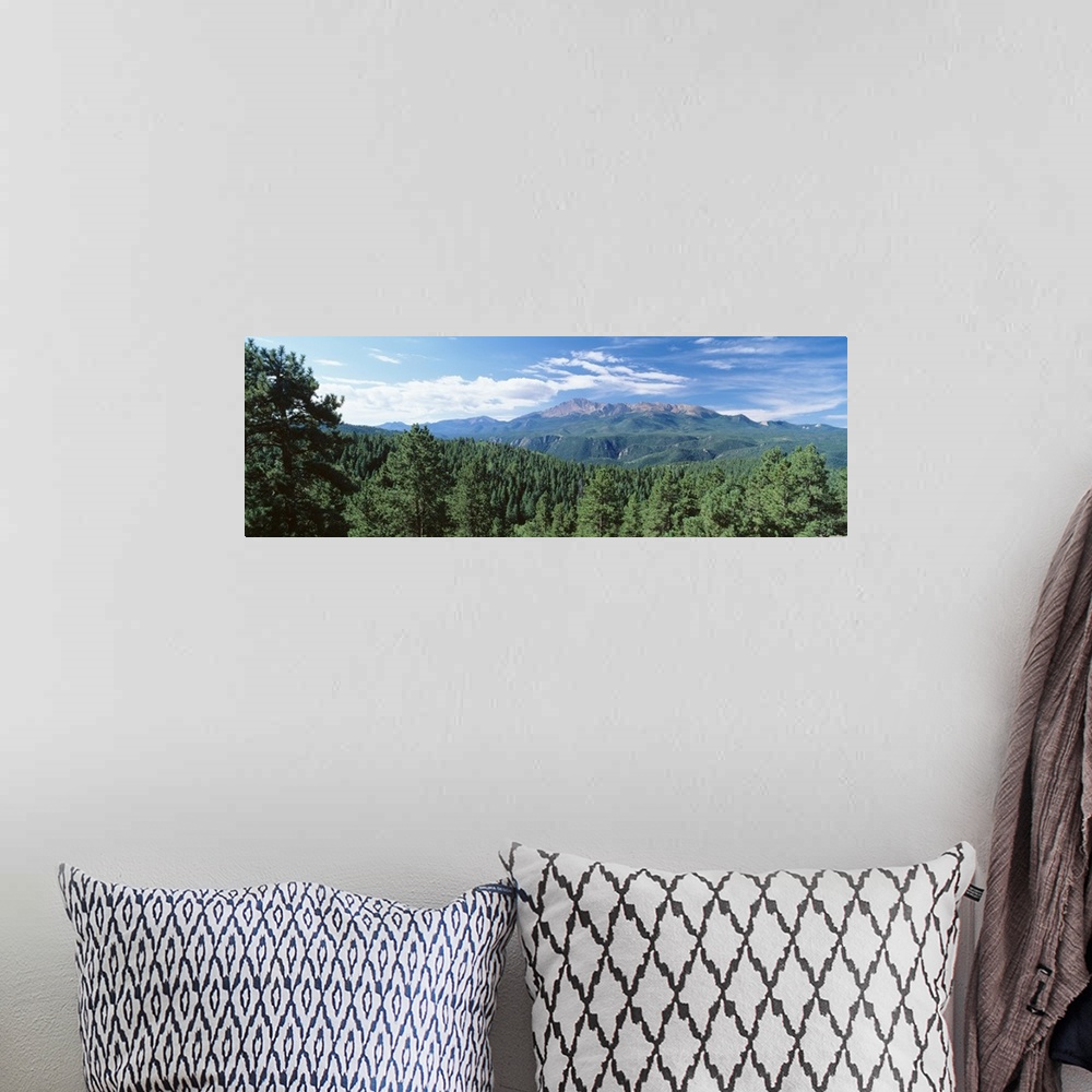 A bohemian room featuring Panoramic photograph of forest tree tops with mountains in the distance under a cloudy sky.