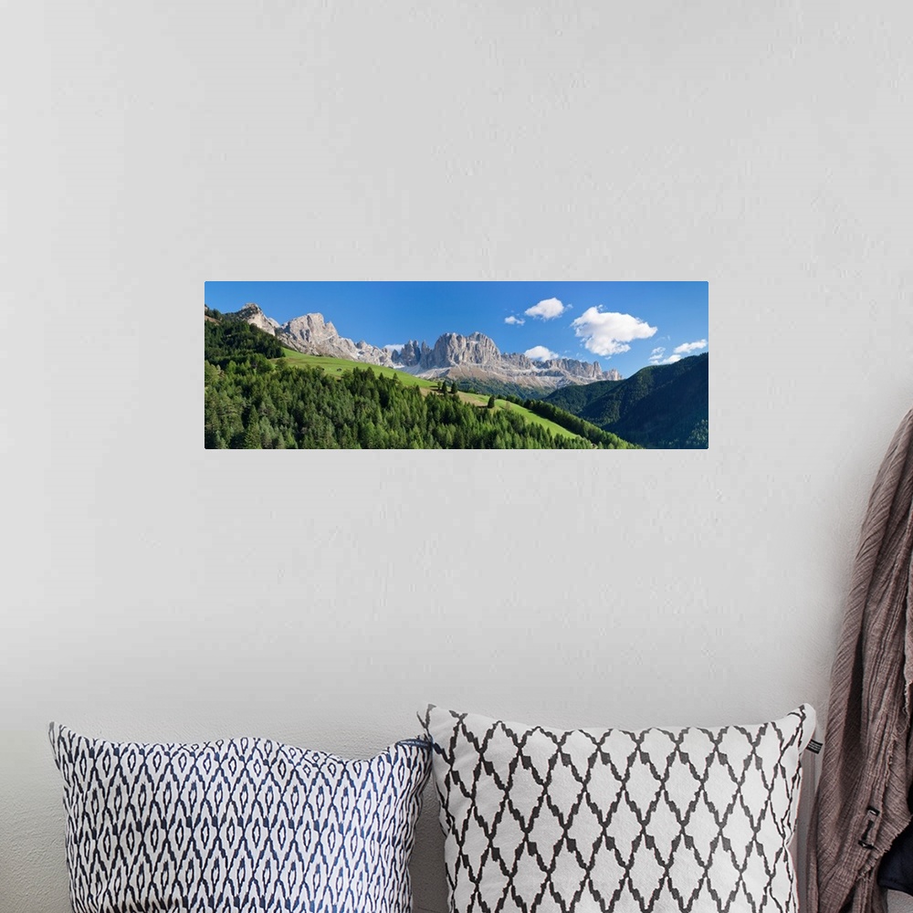 A bohemian room featuring Trees on a hill, Rosengarten, Dolomites, Trentino, Alto Adige, Italy
