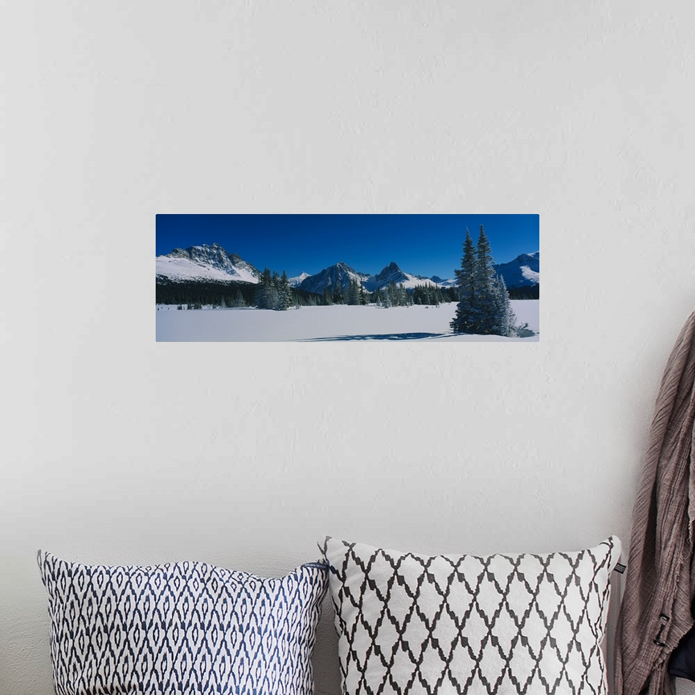 A bohemian room featuring Trees on a snow covered landscape, Astoria Valley, Jasper National Park, Alberta, Canada