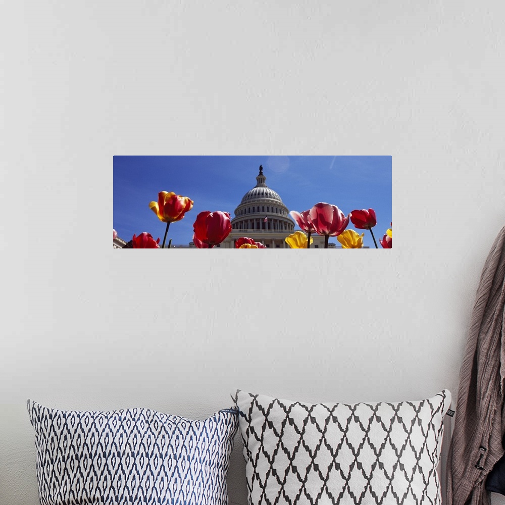 A bohemian room featuring Tulips with a government building in the background Capitol Building Washington DC