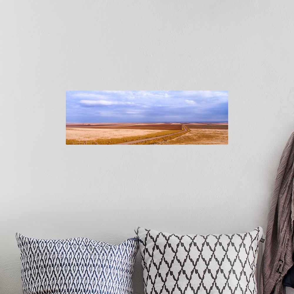 A bohemian room featuring View of wheat fields, Carter, Chouteau County, Montana, USA.
