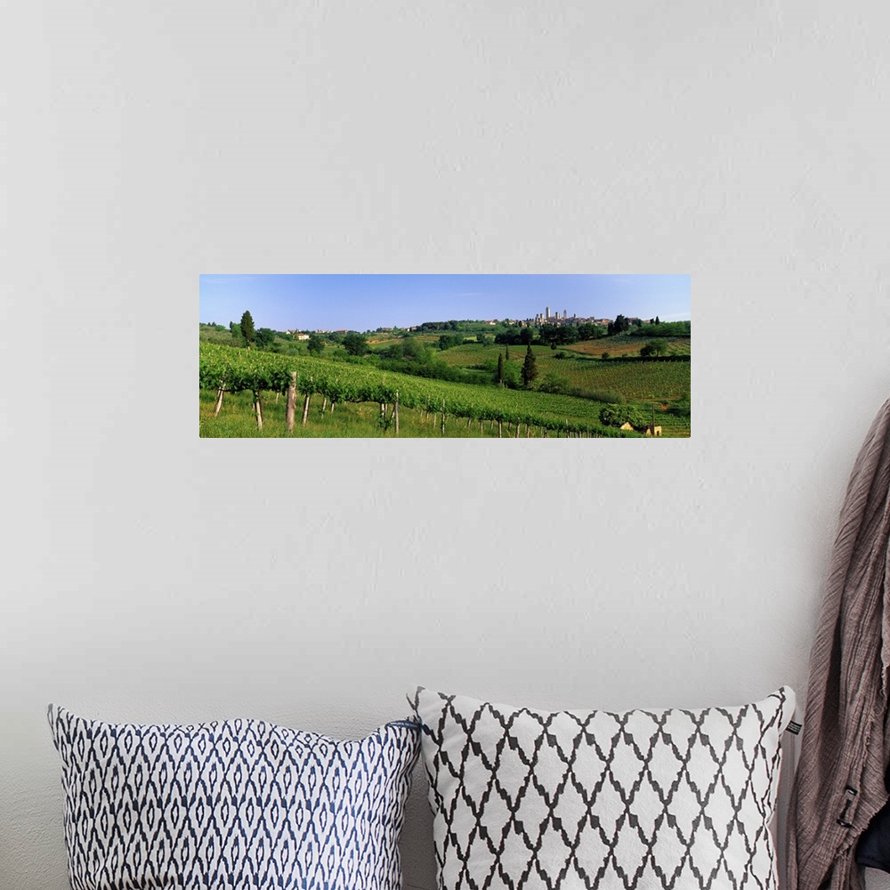 A bohemian room featuring Vineyards and Medieval Town of San Gimignano Tuscany Italy