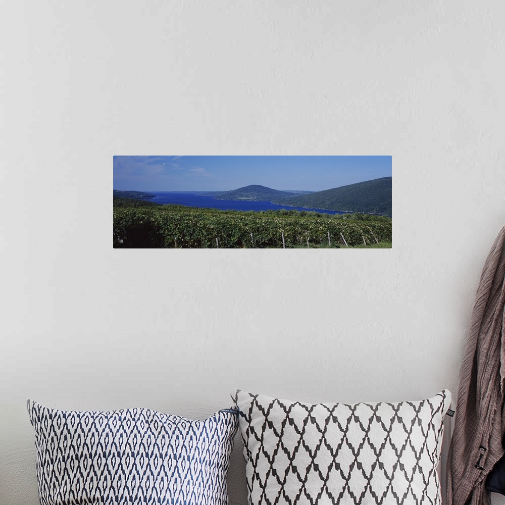 A bohemian room featuring Vineyards Near A Lake, Canandaigua Lake, Finger Lakes, New York State