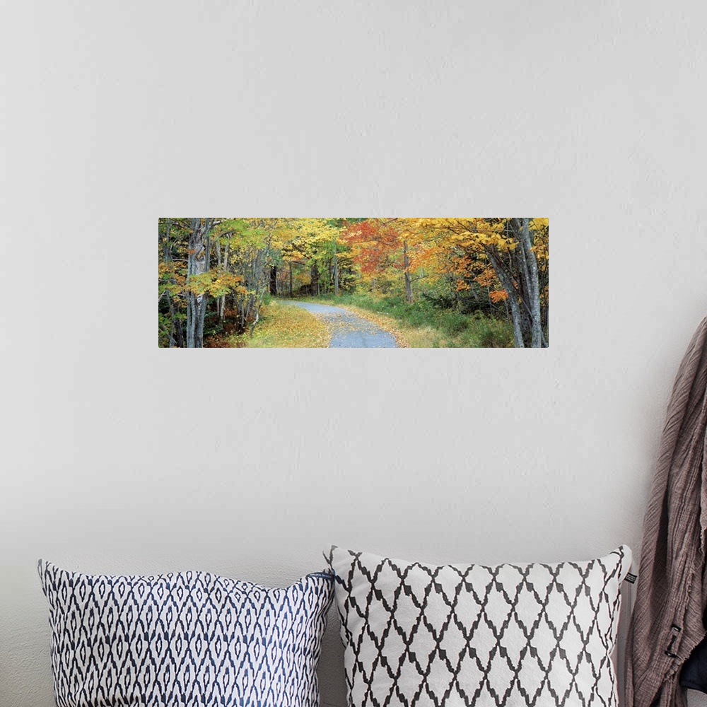 A bohemian room featuring Big landscape photograph of a curving path surrounded on both sides by a forest of autumn colored...