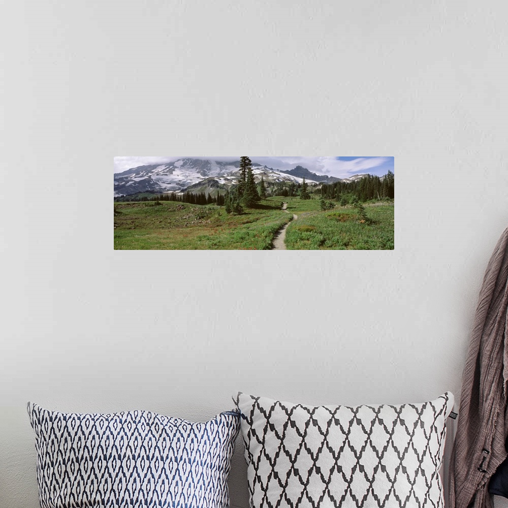 A bohemian room featuring Washington, Mt. Rainier, Mt. Rainier National Park, Mazama Ridge, path