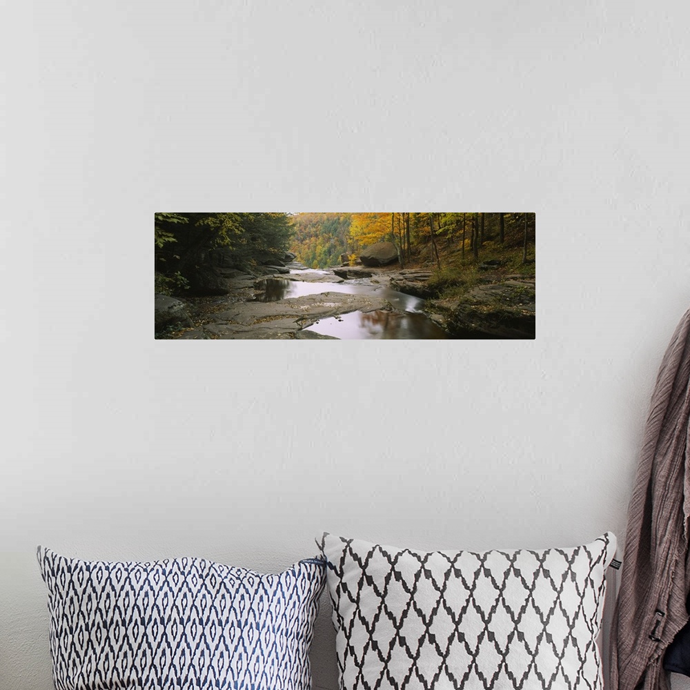 A bohemian room featuring Panoramic photograph focuses on the edge of a stream filled with large rocks before it falls over...