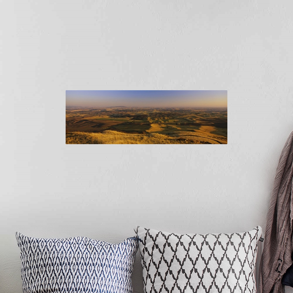 A bohemian room featuring Wheat field on a landscape, Palouse Region, Whitman County, Washington State