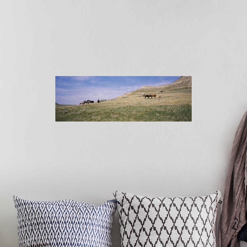 A bohemian room featuring Wild horses in a grassy field, Badlands, Theodore Roosevelt National Park, North Dakota
