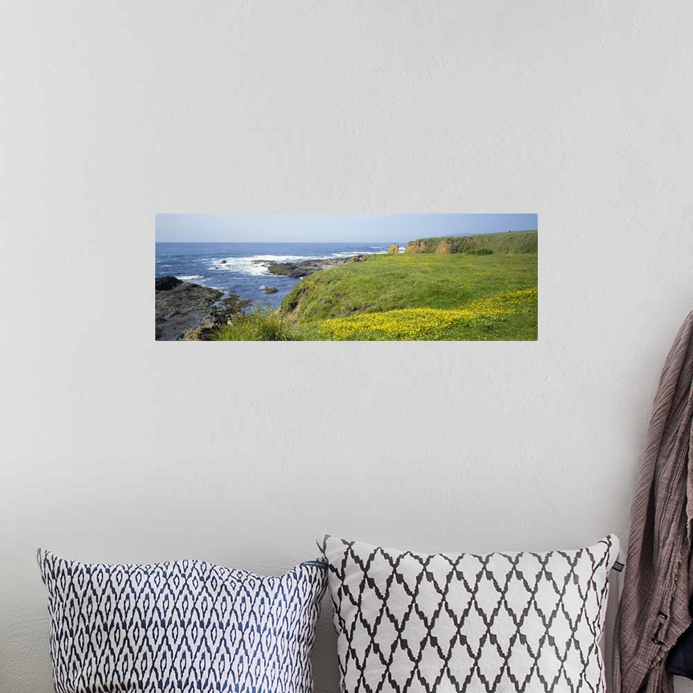 A bohemian room featuring Wildflowers on a cliff near an ocean, Marin Headlands, Westport, California