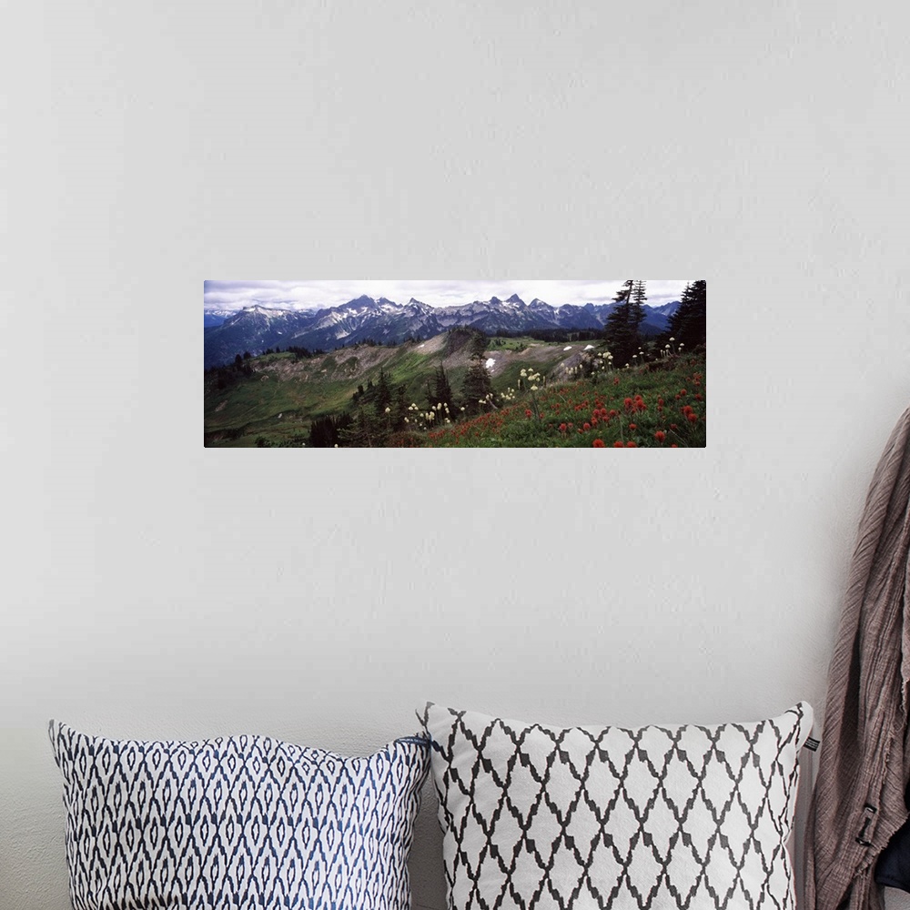 A bohemian room featuring Wildflowers on mountains, Mt Rainier, Pierce County, Washington State,