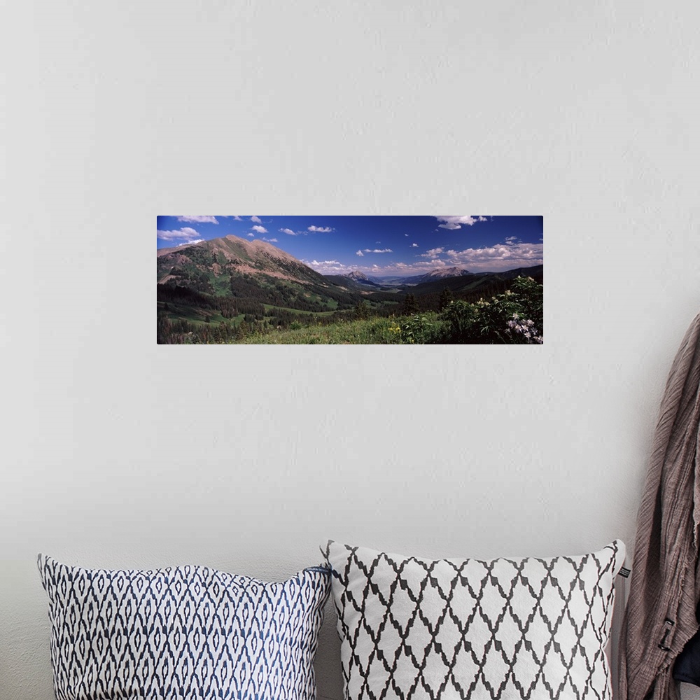 A bohemian room featuring Wildflowers with mountains in the background Crested Butte Gunnison County Colorado