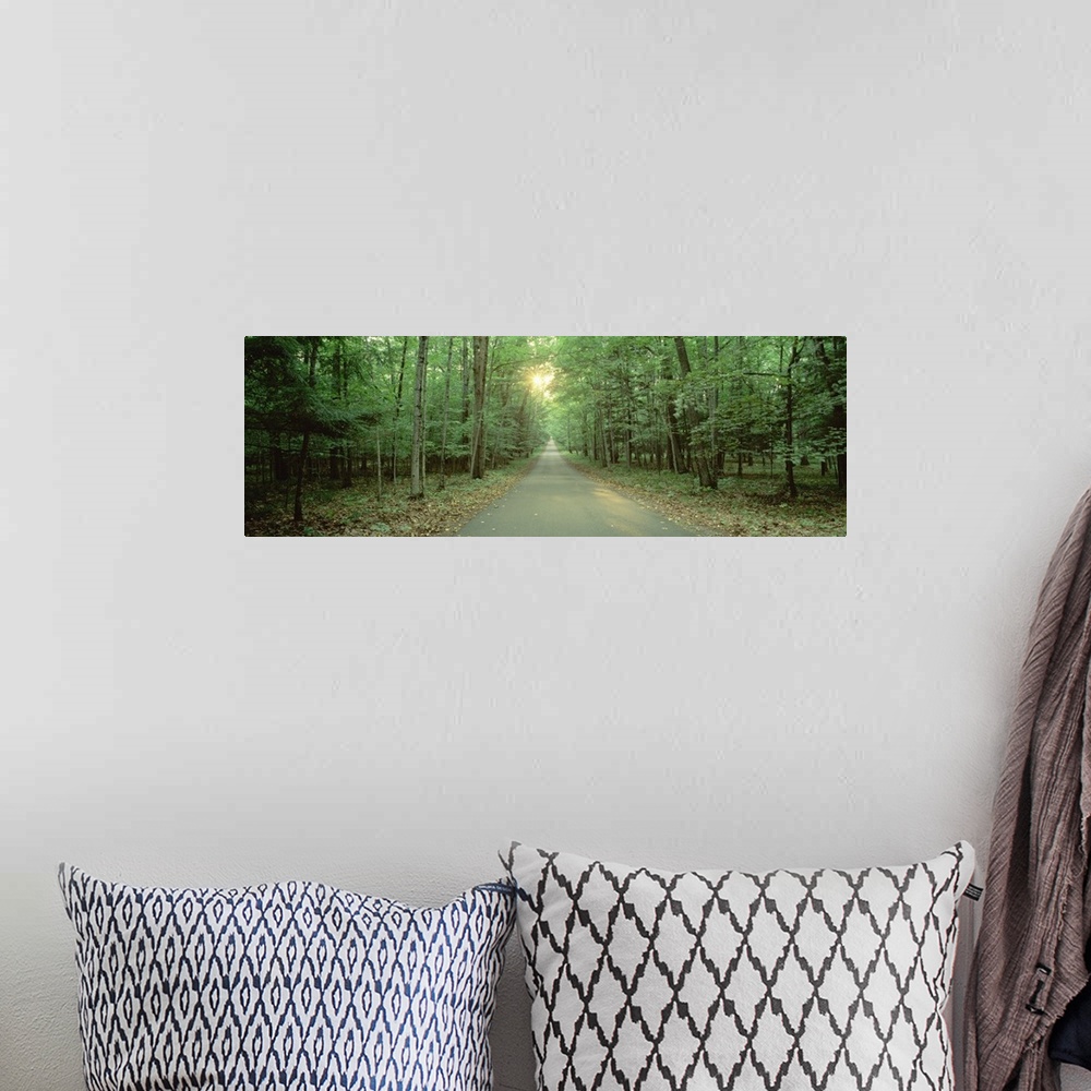 A bohemian room featuring Wisconsin, Door County, Road running through a forest