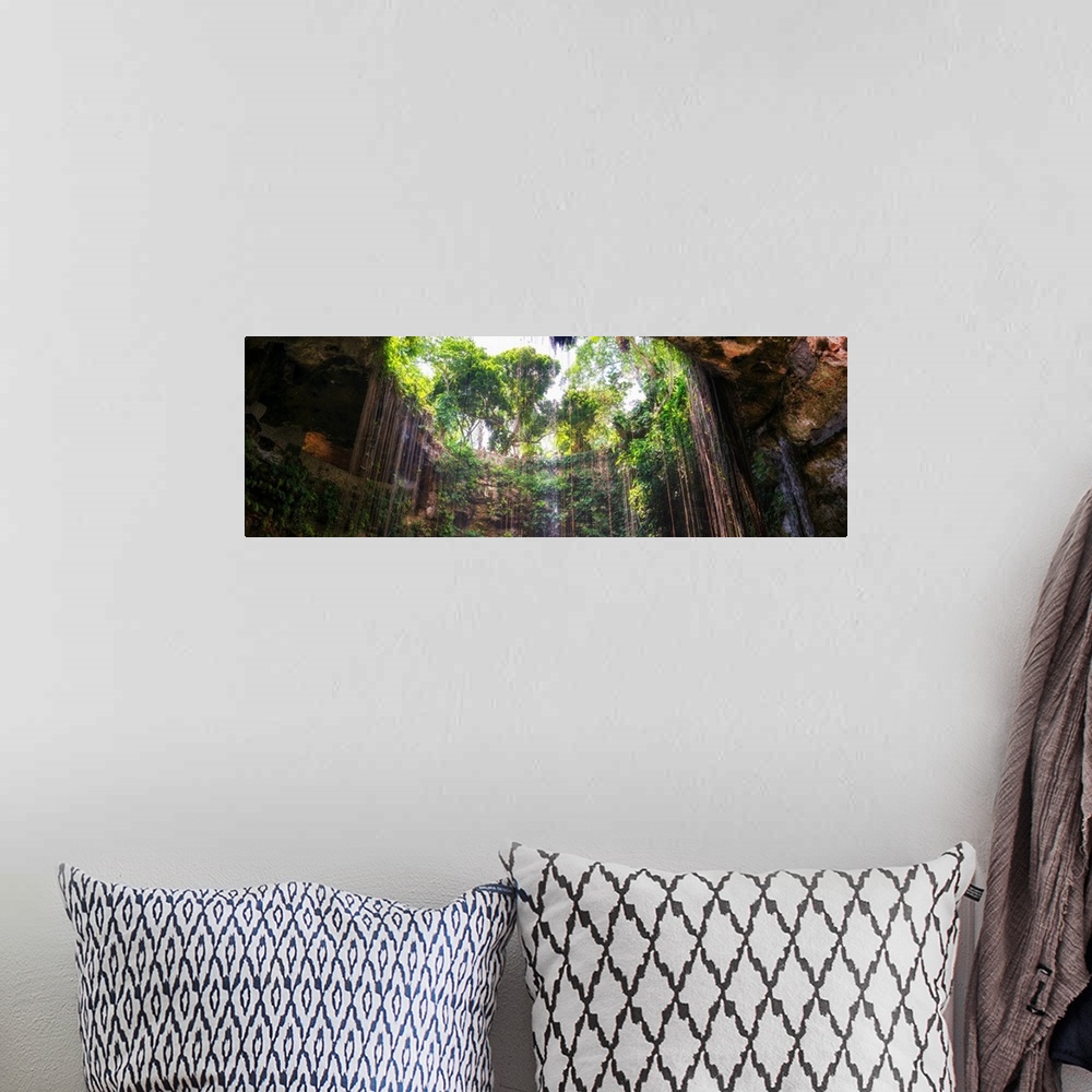 A bohemian room featuring Panoramic photograph of the view from the bottom up at Ik-Kil Cenote in Yucat?n, Mexico. From the...