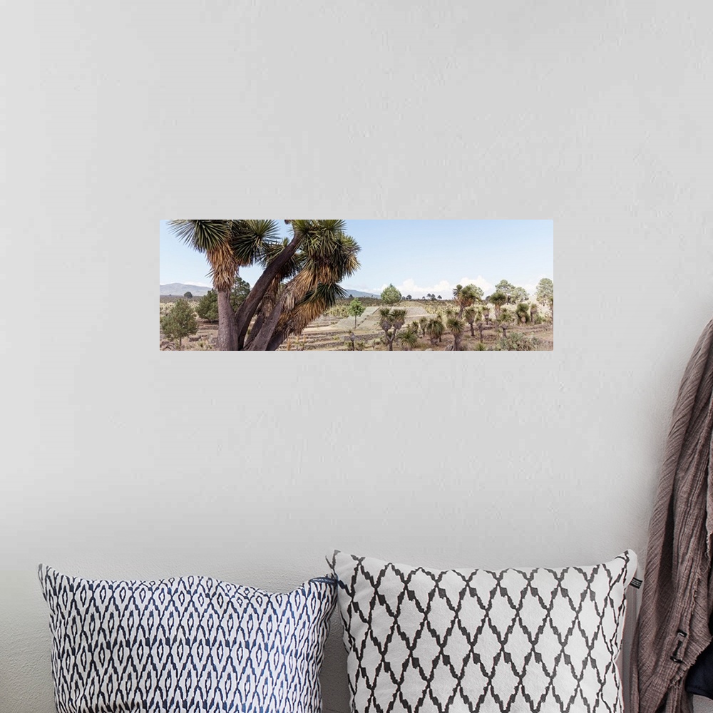 A bohemian room featuring Washed out photograph of the ancient Pyramid of Cantona in Puebla, Mexico. From the Viva Mexico P...