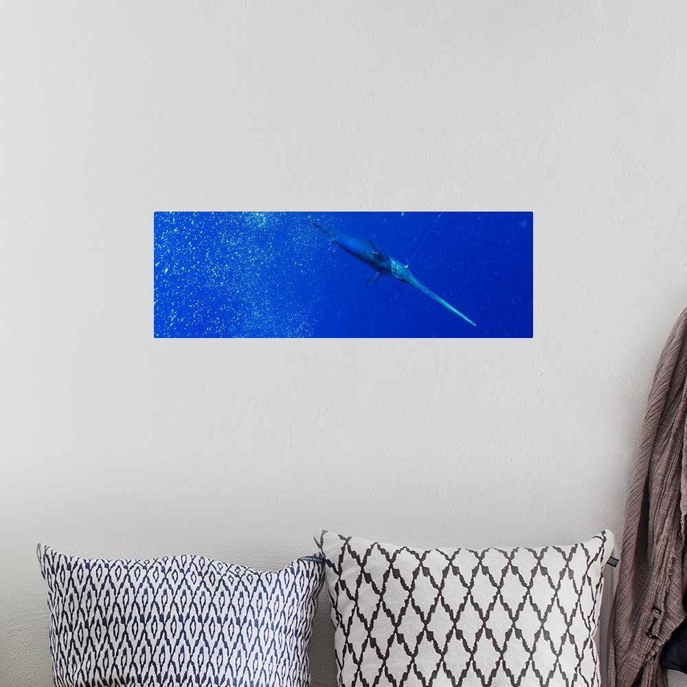 A bohemian room featuring A broadbill swordfish swims below