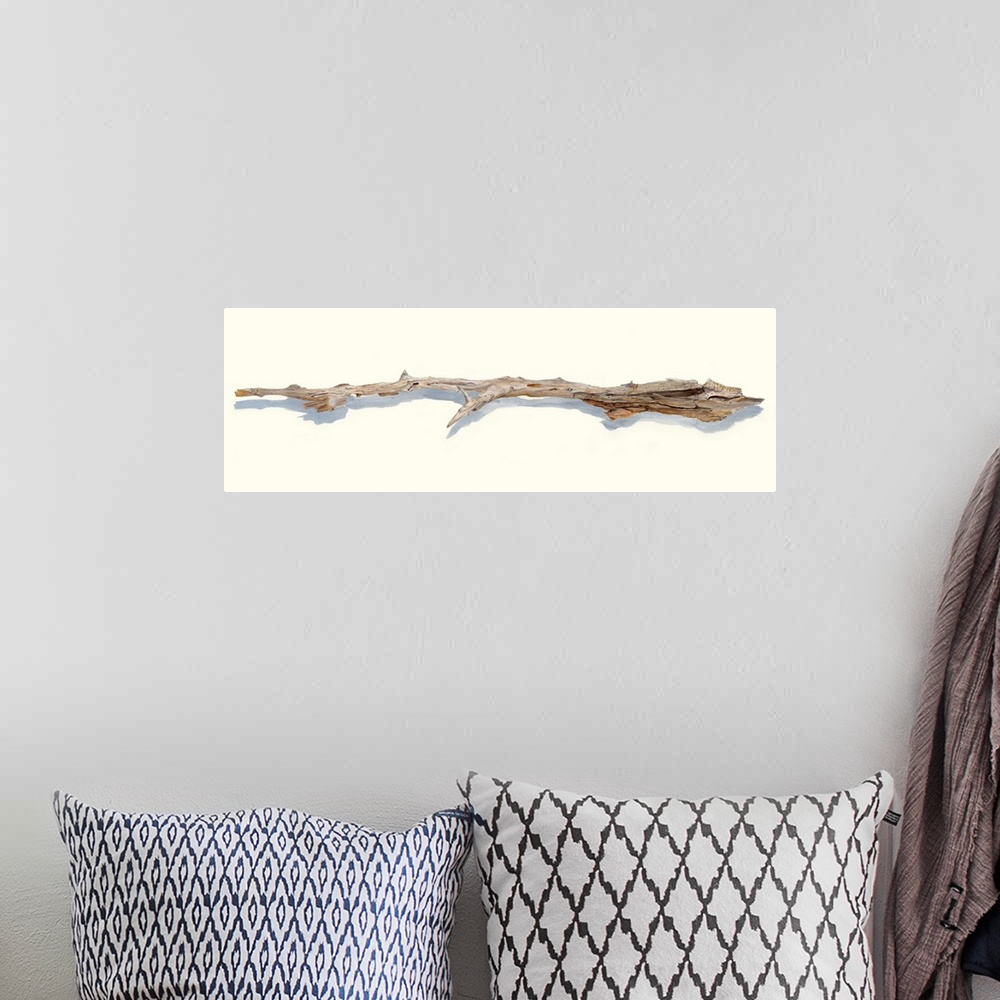 A bohemian room featuring Driftwood Study I