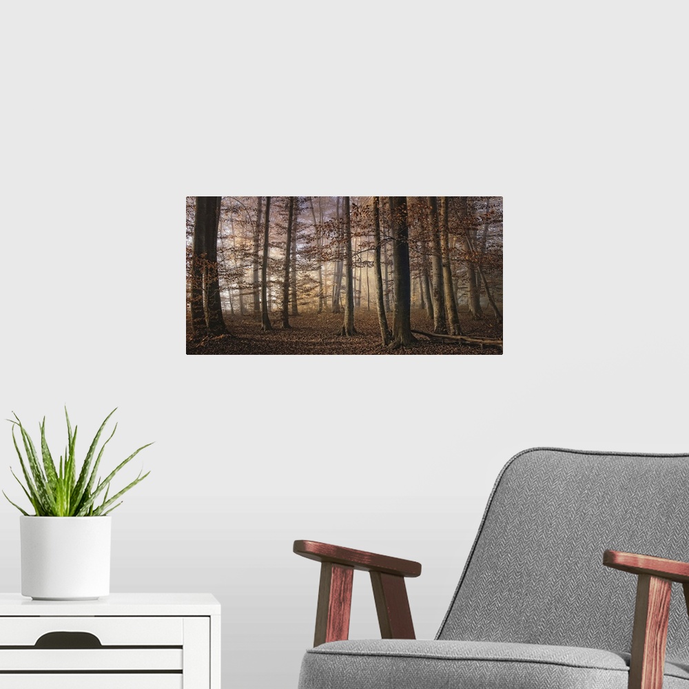 A modern room featuring Forest in the fall with trees and the ground full of orange leaves.