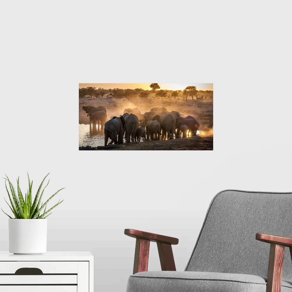 A modern room featuring A herd of elephants kicking up dust in the Savannah.
