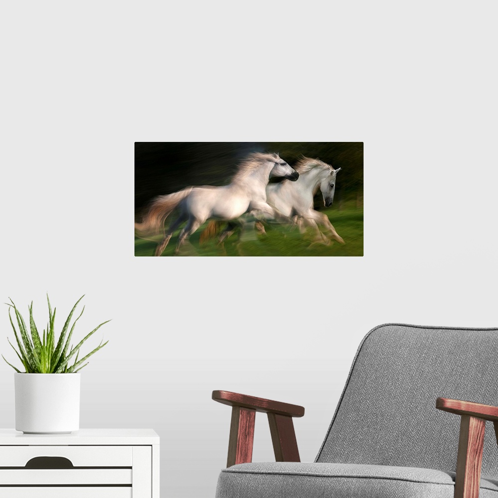 A modern room featuring Motion blurred photograph of wild horses galloping side by side.