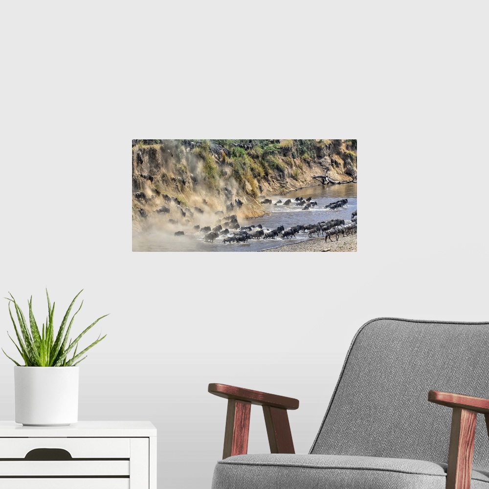 A modern room featuring Wildlife photograph of a stampede of wildebeest moving down a cliff, through a river, and onto land.