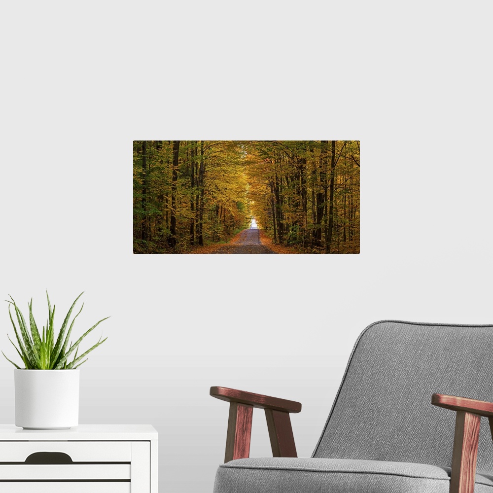 A modern room featuring Panorama of country road in autumn, Iron Hill, Quebec, Canada.