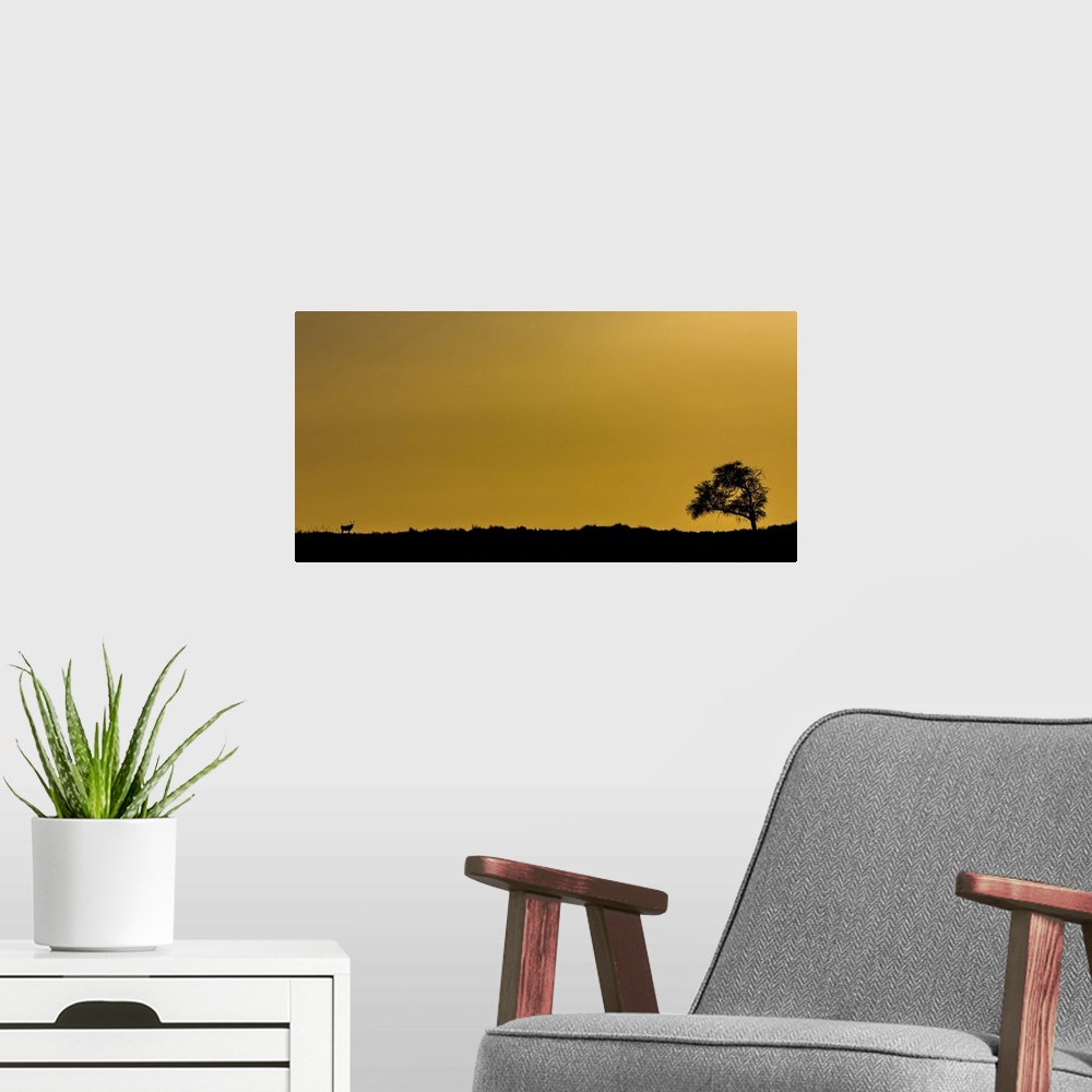 A modern room featuring Silhouette of a tree and antelope with a golden sky; Sossusvlei, Hardap Region, Namibia