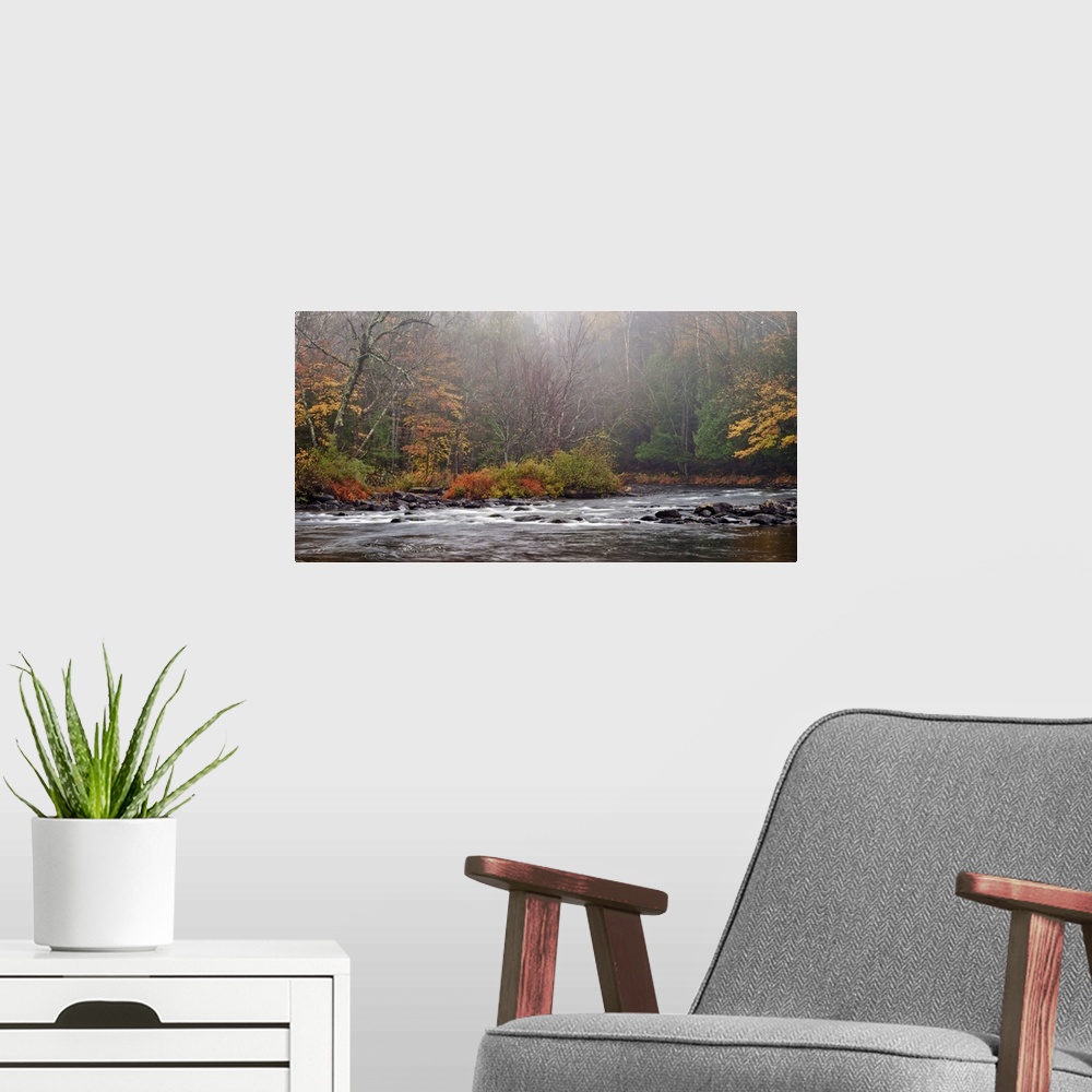 A modern room featuring Photograph taken of rushing water that cuts through a thick forest during autumn.