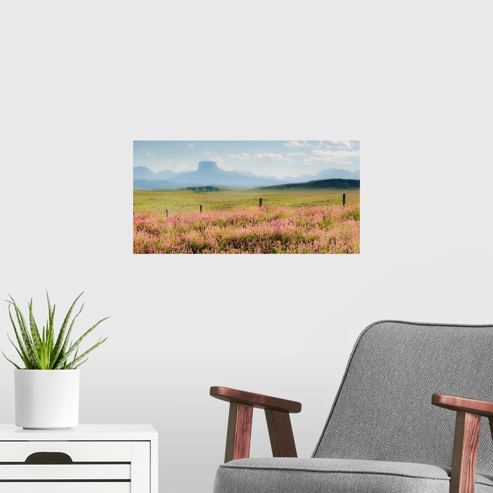 A modern room featuring field of flowers with mountains, color photography