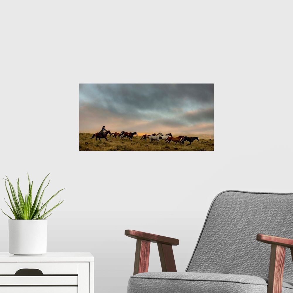 A modern room featuring Photograph of a cowgirl with a lasso in hand herding horses through a field.