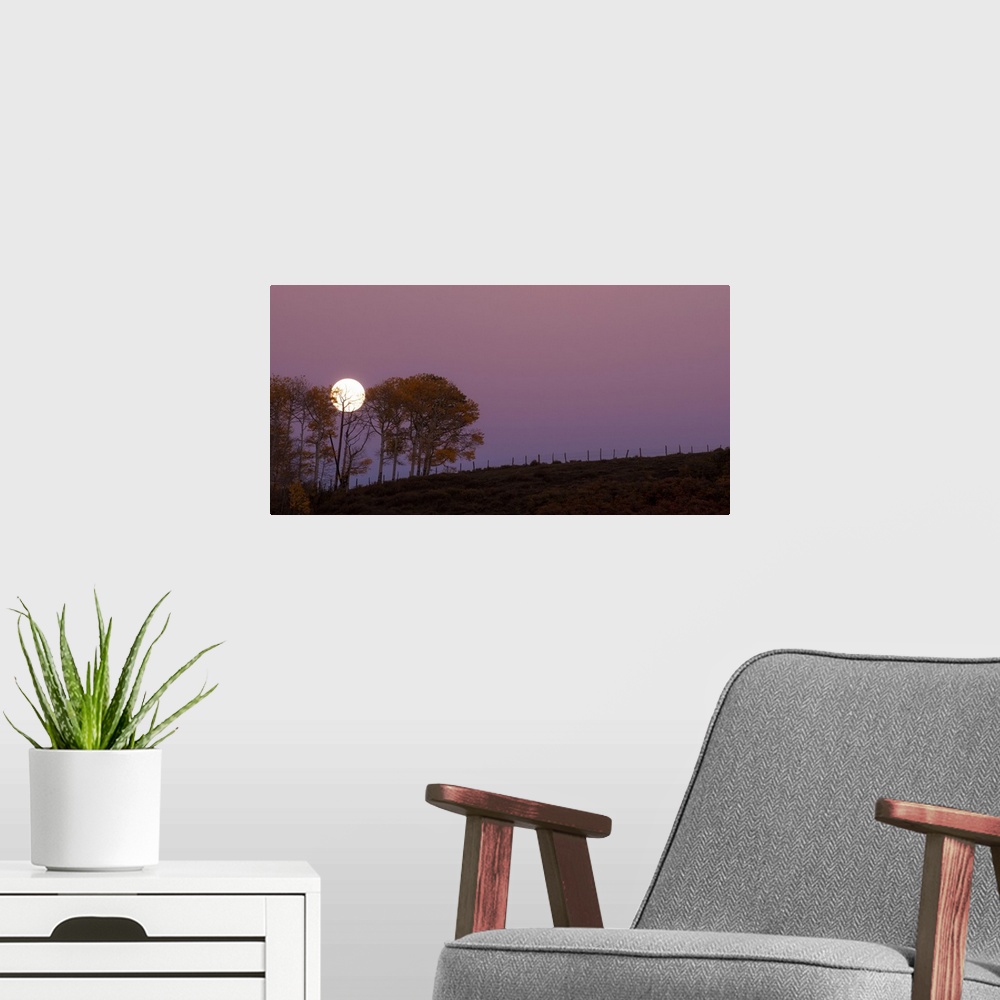 A modern room featuring Landscape photograph of a field with a few trees and a full moon rising in the purple sky.